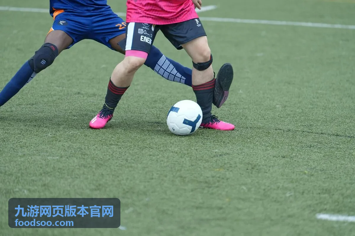 九游网页版本官网登录与浏览器适配指南界面示意